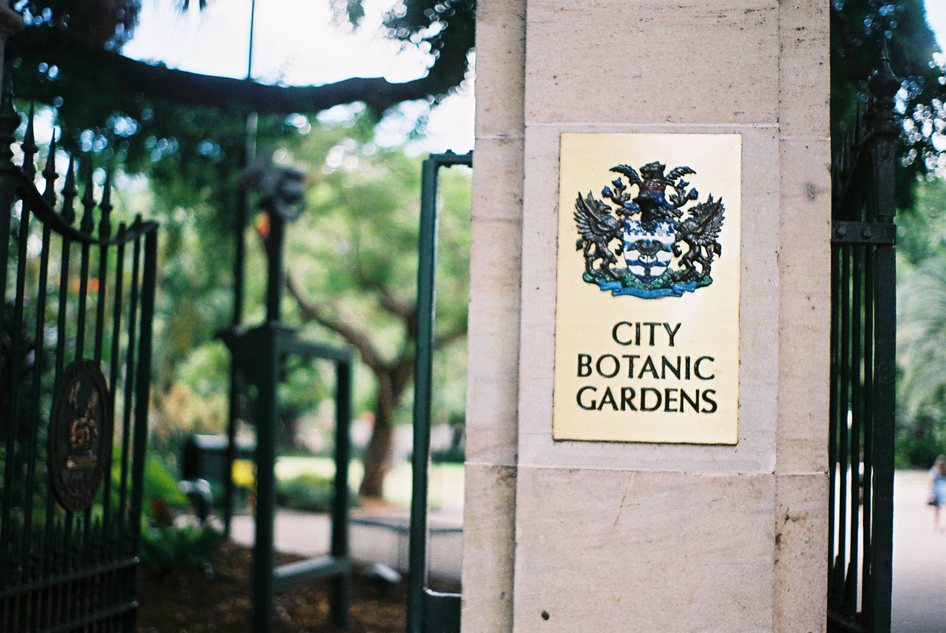 Brisbane City Botanic Gardens 35mm Film Travel Photographer