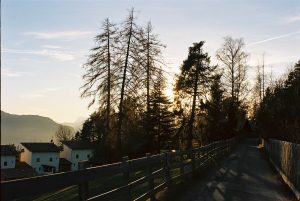 Soprabolzano Italian Winter Travels Lifestyle Travel Photographer