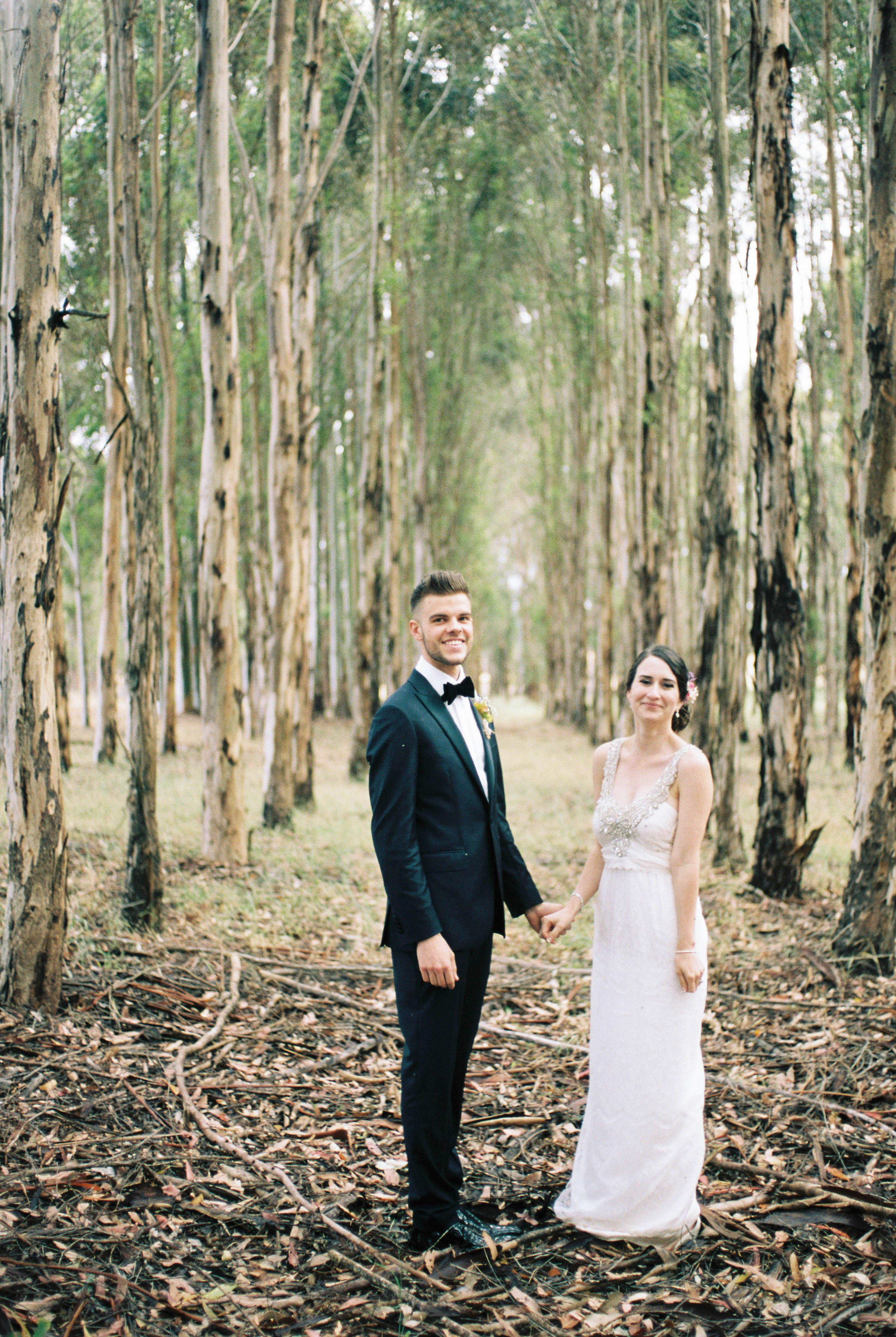Wedding portraits of the bride and groom holding hands in a blue gum plantation