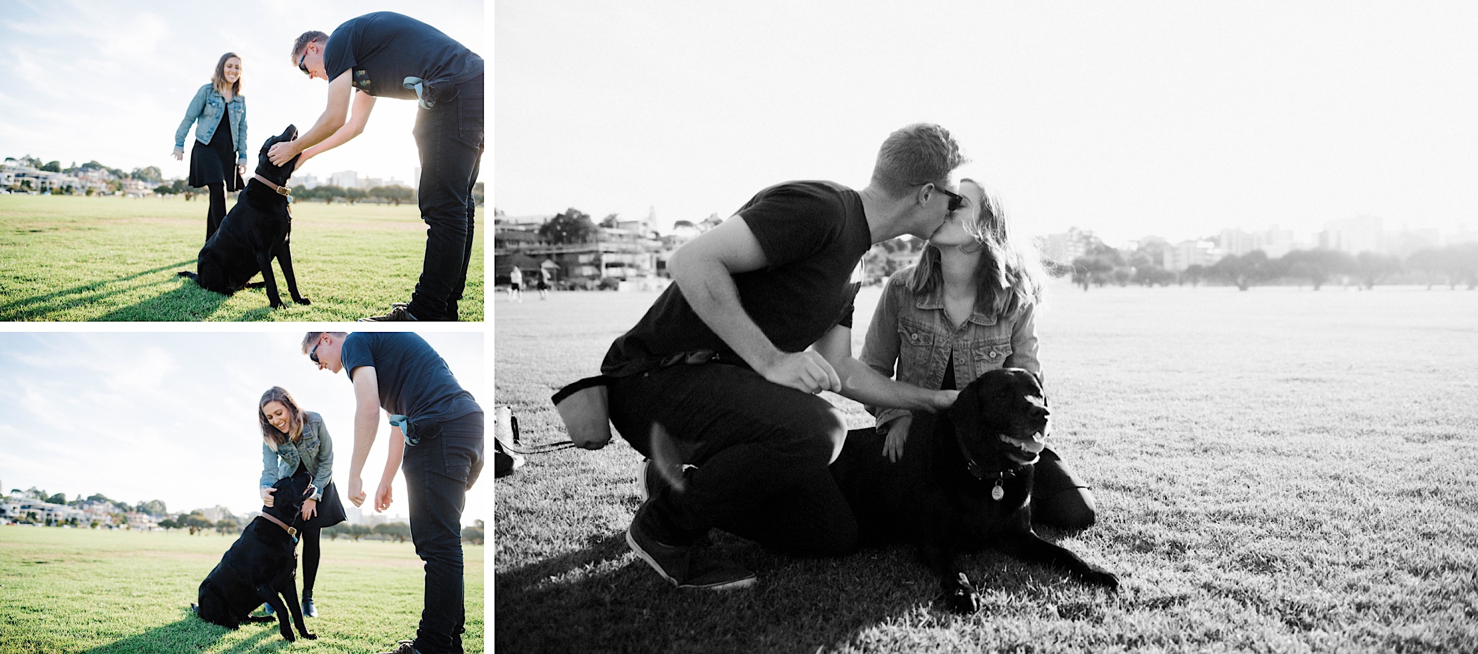 A triptych of lifestyle family photography of a couple playing at the park and cuddling their dog.