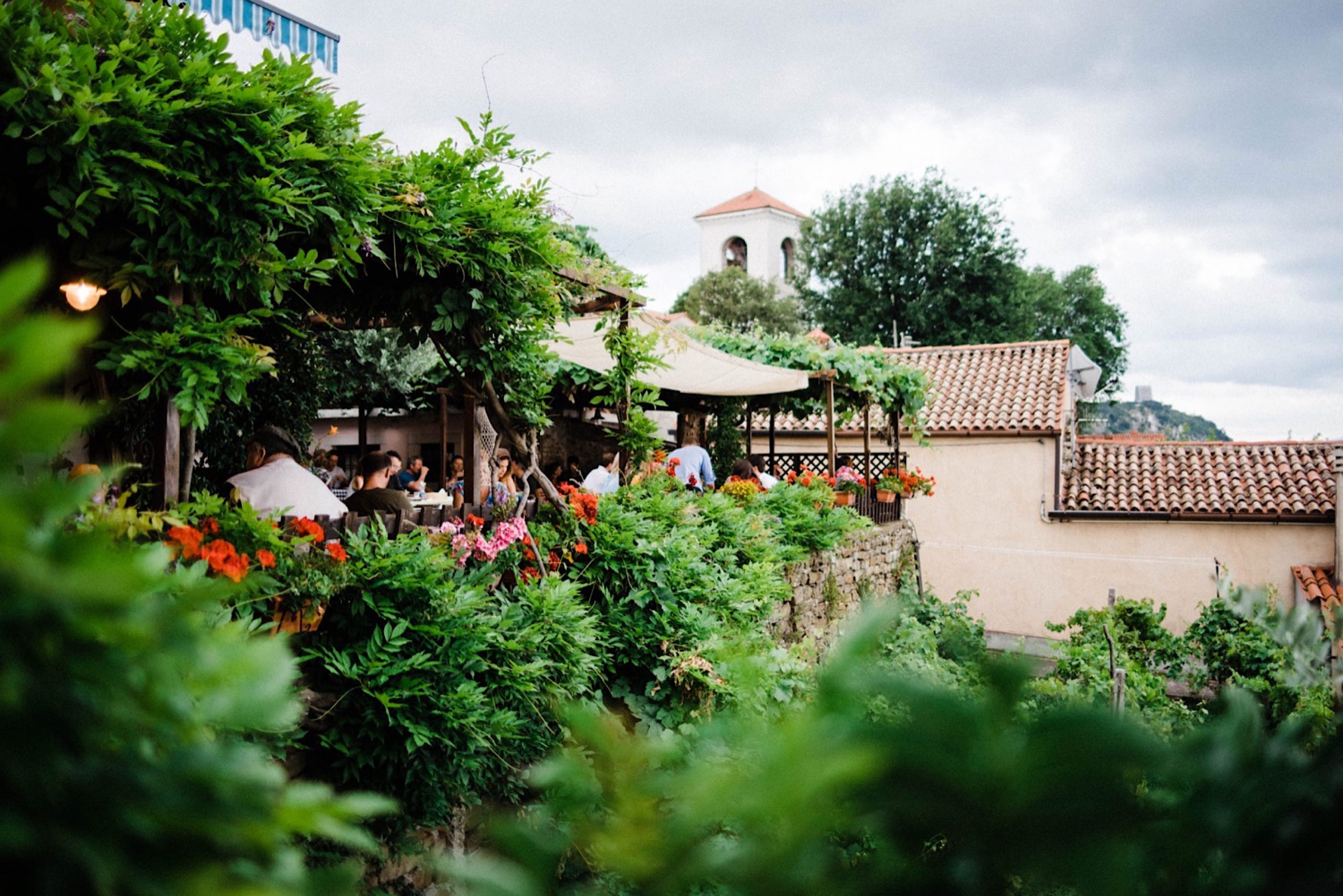 A wide photo looking out over the gardens of Osmiza Stoka, a local farm restaurant just outside of Trieste, taking during an intimate wedding reception.