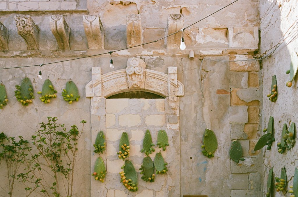 A picture of prickly pear leaves, covered in fruit, hung on an old limestone brick wall in Marzamemi, to showcase Where to Eat in Noto & Avola when you Visit Noto, Sicily.